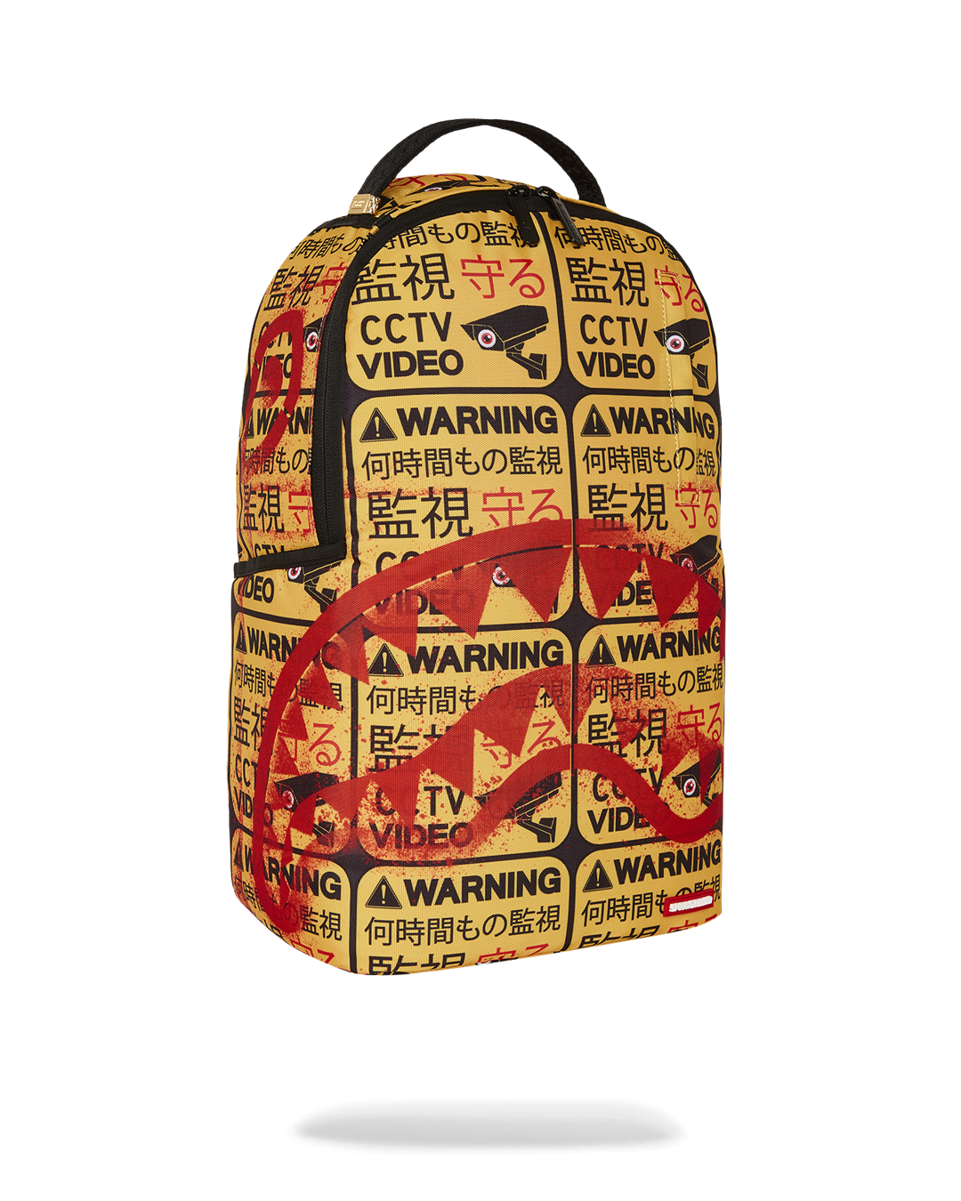 CCTV SECTOR 404 BACKPACK